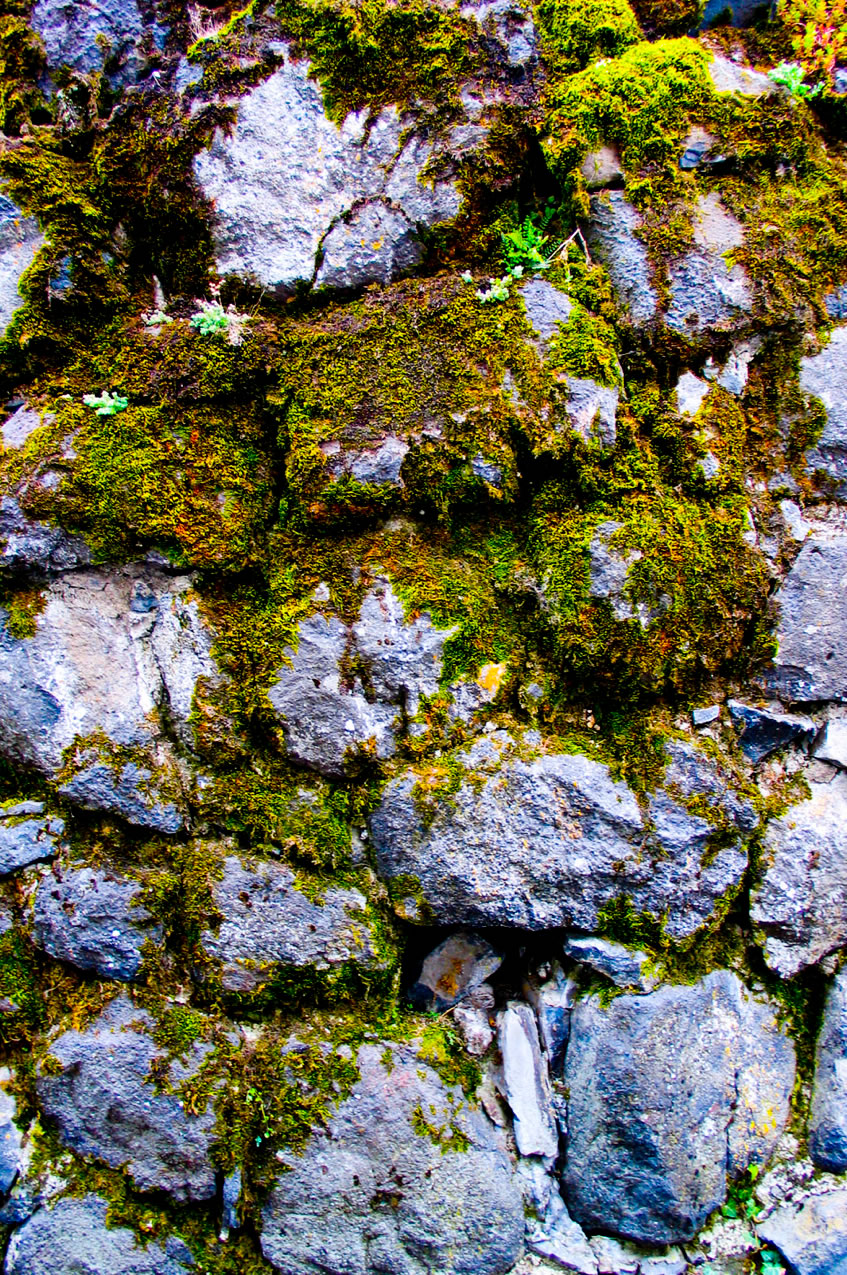 Images